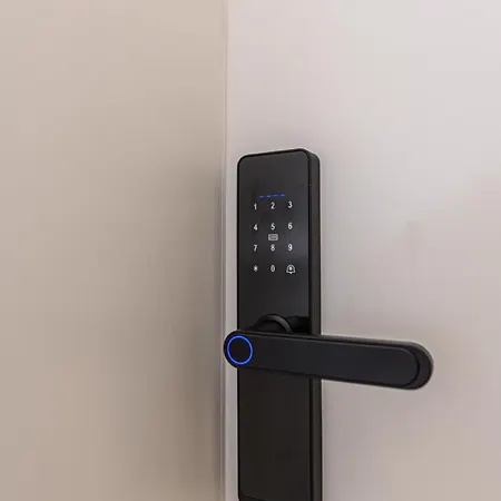 Nokturna Lyra Coresi Kasper With Parking